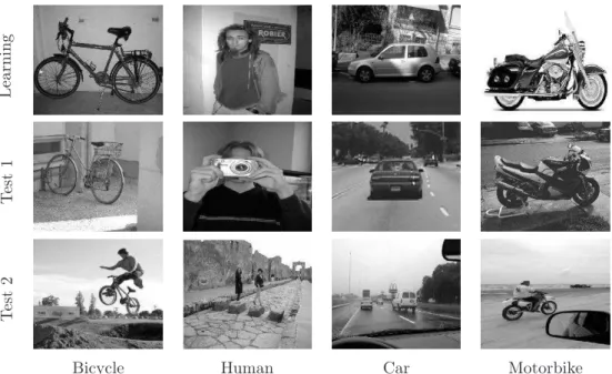 Figure 6: Some images used for learning and testing from the Pascal database [9].