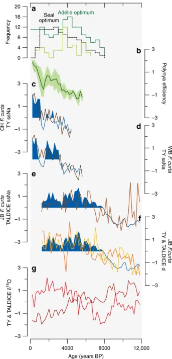 Fig. 6 Holocene WRS sea ice variability in the CSIZ and OSIZ along with polynya ef ﬁ ciency and faunal remains