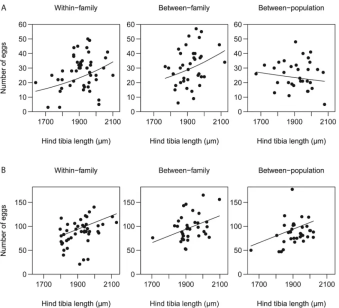 Figure 3. Egg load (A) at emergence and (B) at death as a function of body size for the three cross types