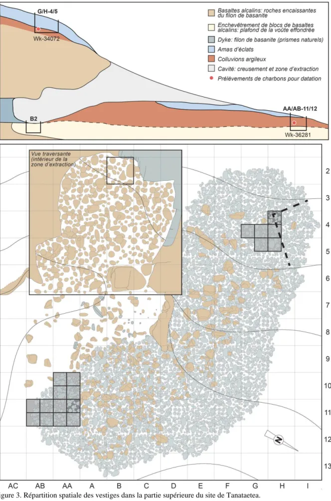 Figure 3. Répartition spatiale des vestiges dans la partie supérieure du site de Tanataetea