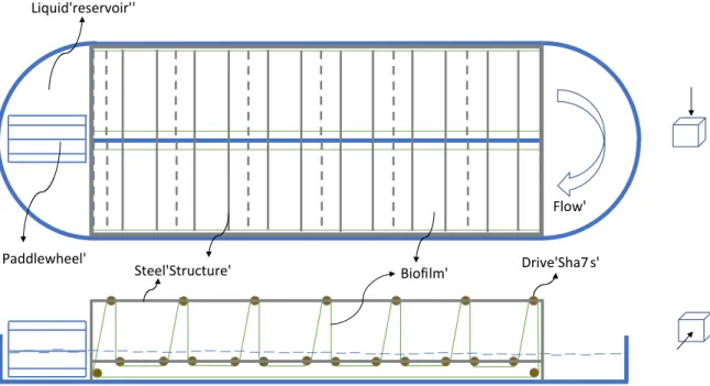 Figure 2. Basic schematic of raceway-based rotating algae biofilm (RAB) Biofilm'Liquid'reservoir''Paddlewheel' Flow' Drive'Sha7 s'Steel'Structure'