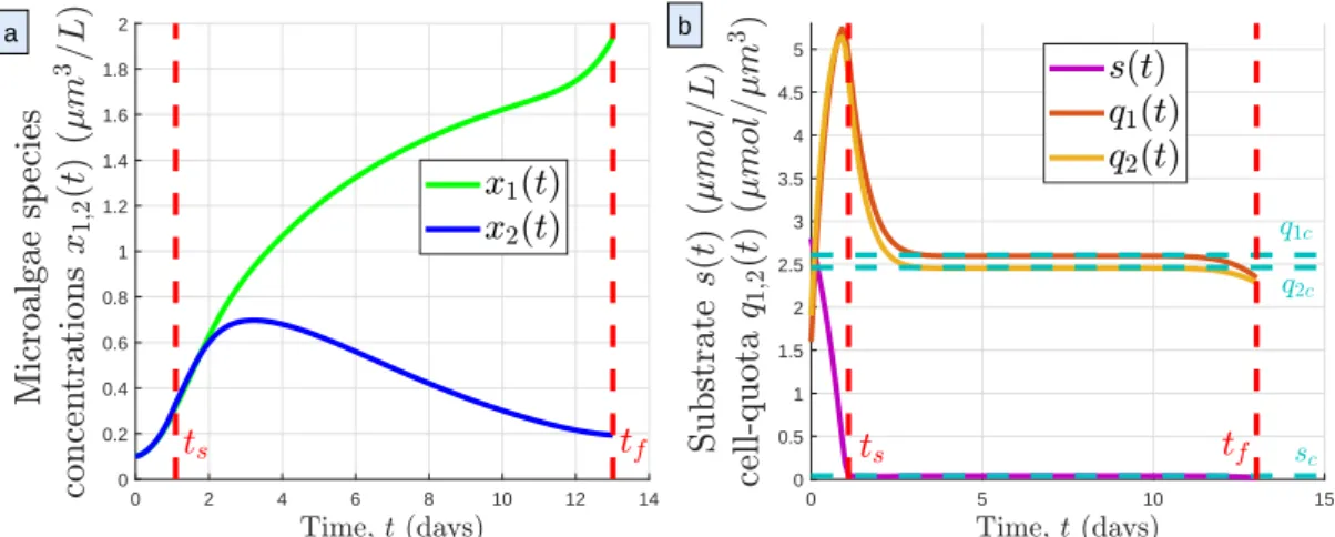 Figure 3: Trajectories associated to the initial conditions in Example 1, in closed loop with the bang(0)- bang(0)-singular control law in Figure 2