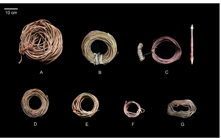 Figura 3. Fotografía de algunas de las líneas de caza analizadas: (A) CAM 9, contexto indeterminado; (B)  CAM 9, tumba 28; (C) PLM 4, tumba 132; (D) PLM 6, tumba 29; (E) CAM 9, tumba 4; (F) CAM 9, tumba 1; 