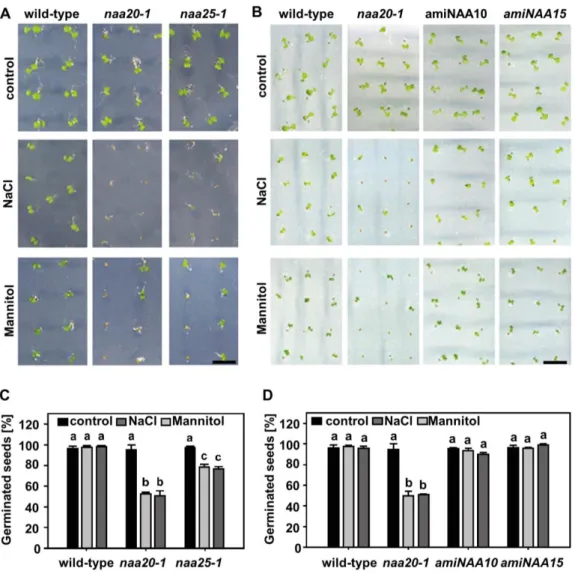 Figure  5.  NatB  mutants  are  sensitive  to  salt  and  osmotic  stress.  Seeds  of 787 