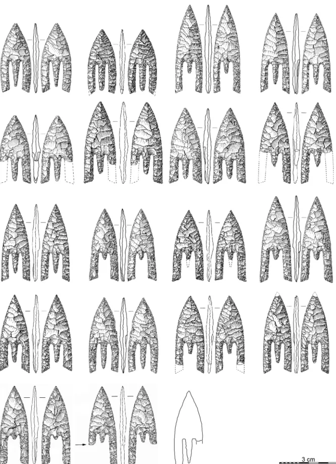 Figure 9. The arrowheads from Graeoc 2 barrow, Saint-Vougay, Finistère: an example of the variety of retouch  with transverse, parallel or multidirectional retouch combination (drawings C