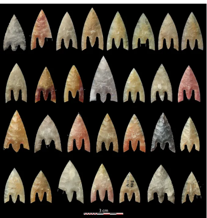 Figure 6. Arrowheads stemming from one of the wooden boxes found in the Kernonen barrow at Plouvorn,  Finistère (photo C