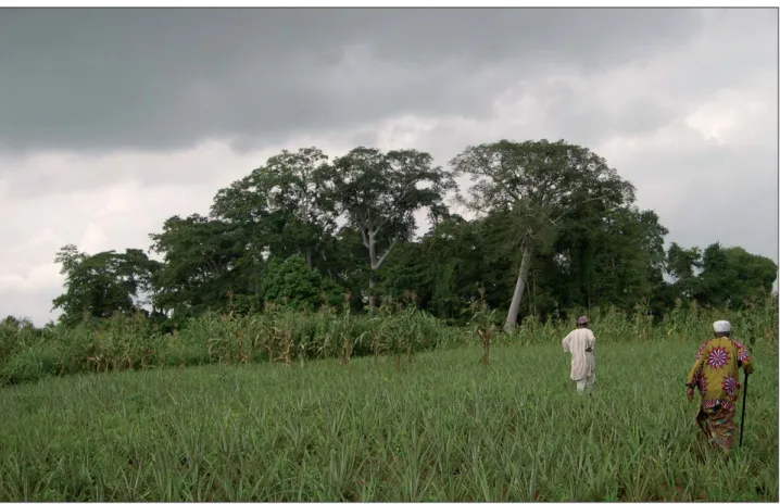 Fig. 2 : Bamèzoun (village de Bembé, Ouémé, Bénin): forêt  sacrée, site classé Ramsar, devient réserve biologique (© photo  D