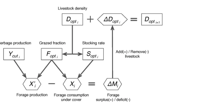 Fig 1. Strategy for modeling adaptive management in ORCHIDEE-GM. See text for symbol definitions.