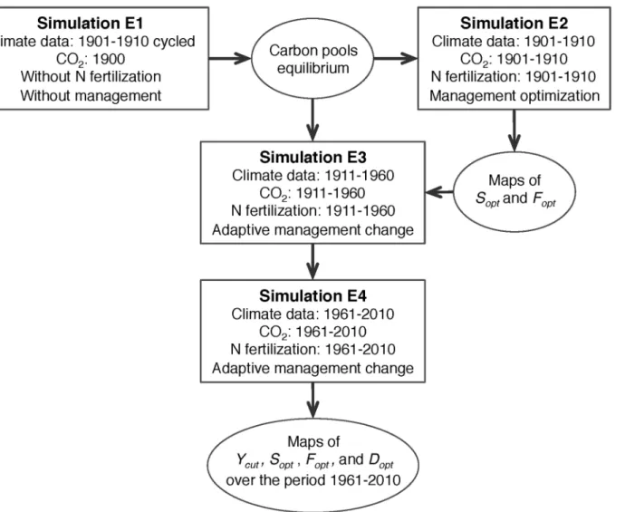 Fig 2. Illustration of the simulation protocol, forcing data and initial state for various simulations.
