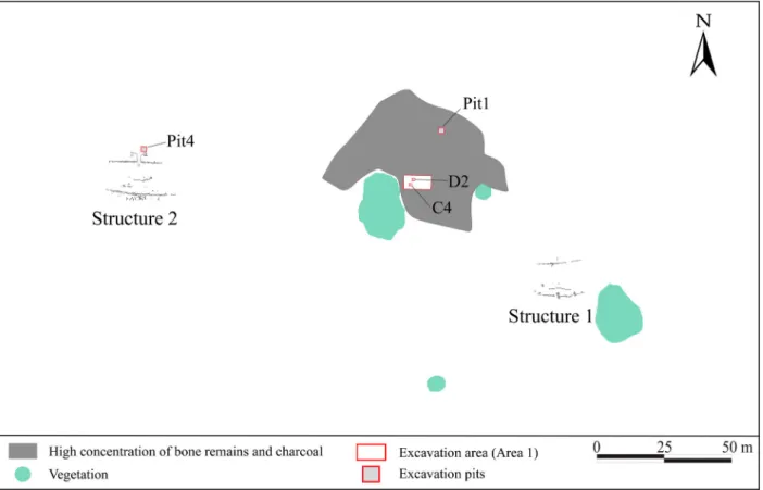 Figure 2. The site of Bayovar-01. Redrawn from H. Chiumbiauca and N. Goepfert (unpublished data).