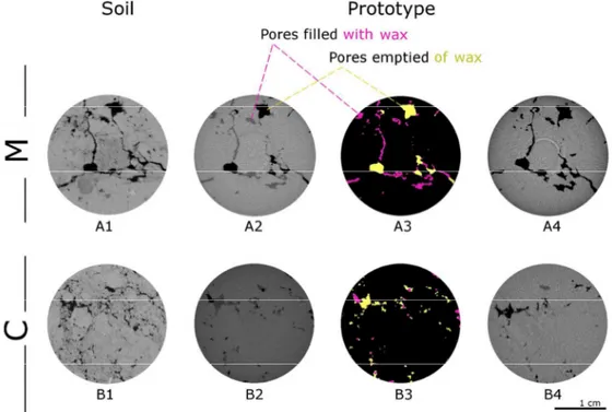 Figure 2: 2D slices from microCT imaging (M = farmyard manure; C = control) of original soil samples (A1,  B1) and soil-like prototypes after the wax removal procedure with ultrasonication (A2, A3, B2, B3) and oven 