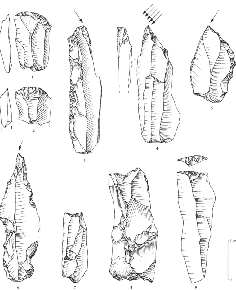 Fig. 4 - Outils : 1,  2, grattoirs ; 3-6,  burins ; 7-9,  pièces tronquées (dessins C