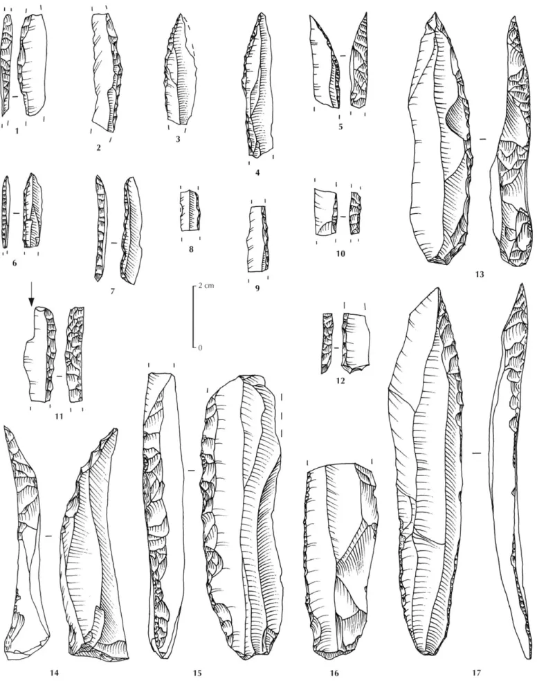 Fig. 5 - Armatures et outils :  1-5,  monopointes ; 6,  7,  lamelles à bord abattu ; 8-12, fragments de monopointes ou de lamelles à bord abattu ,  13-15,  « couteaux à dos » ; 16,  17, lames à retouche plutôt marginale (dessins C