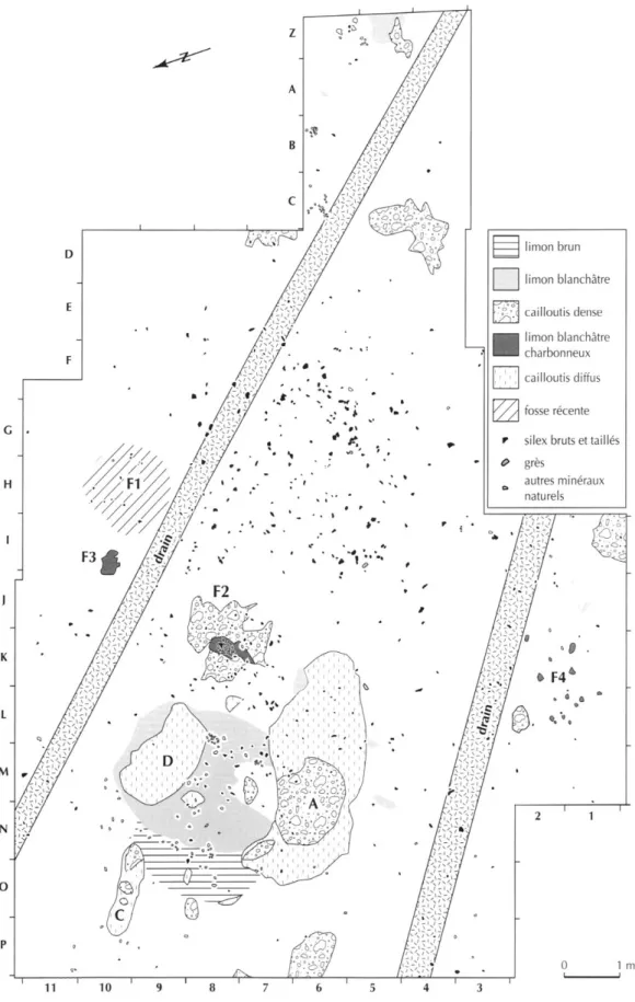 Fig. 2 - Plan d'ensemble du locus 33 (dessin C. Billard). 