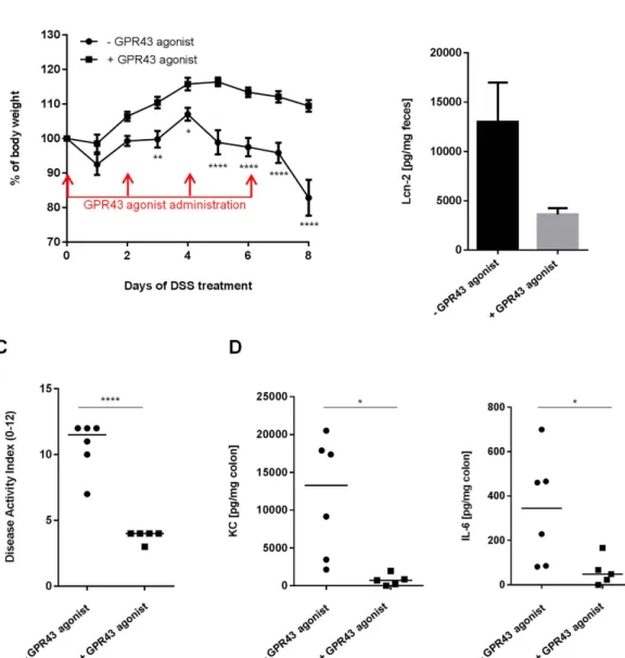 Figure 7.  Pharmacological GPR43 activation prevents gut inflammation. (A) Evolution of body weight,   (B) Fecal Lcn-2 levels, (C) DAI at day 8 after the beginning of the treatment and (D) IL-6 and KC cytokine  release by colonic mucosa