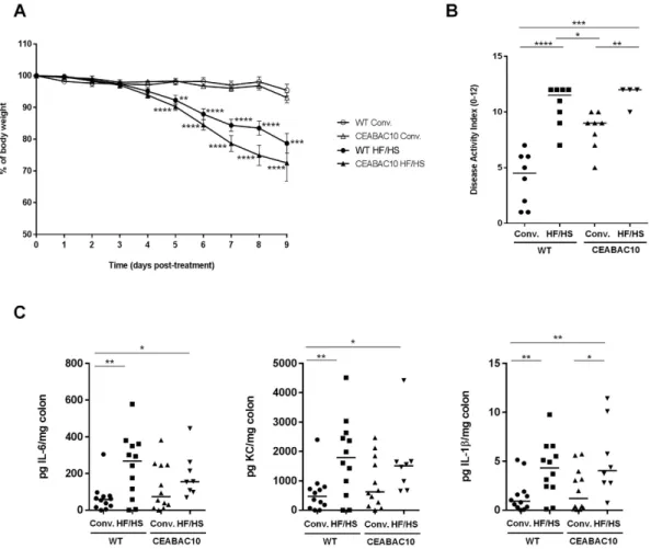 Figure 4.  Western diet increases susceptibility to chemically-induced colitis. (A) Evolution of body weight,  (B) DAI at day 9 after DSS treatment and (C) IL-6, KC and IL-1β  secretion by colonic mucosa