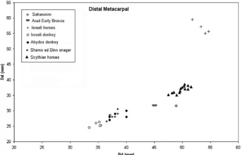 Fig. 5: Scattergram showing distal metacarpal breadth (measurement 10) against depth (measurement  12)