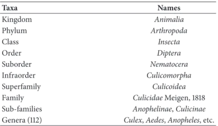 Table 2: Taxonomic classification of mosquitoes (Diptera: Culici- Culici-dae). Taxa Names Kingdom Animalia Phylum Arthropoda Class Insecta Order Diptera Suborder Nematocera Infraorder Culicomorpha Superfamily Culicoidea