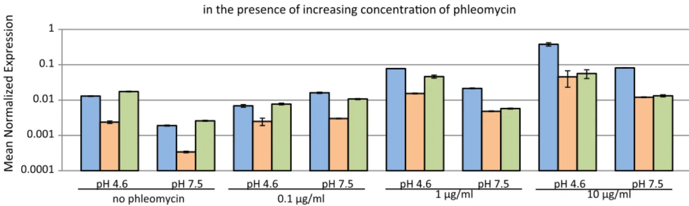 Fig. 3. Real-time polymerase chain reaction analysis of AvrLm1, AvrLm4-7, and Lema086540 expression in the v23.1.3 isolate of Leptosphaeria maculans after exposure to phleomycin