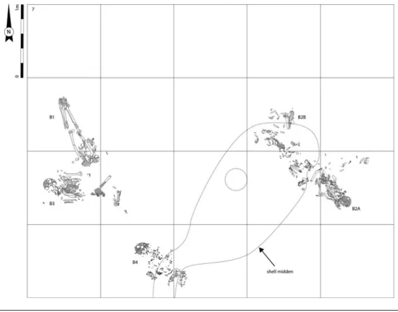 Figure 3. Erueti burial cluster recovered at Teouma site (area 7C) (Efate, central Vanuatu).