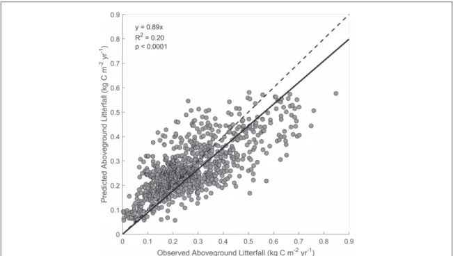 Figure 2. Observed and predicted aboveground litterfall production. The dashed line indicates 1:1 correspondence and the solid line is the ﬁ tted linear regression to the data.