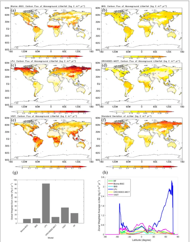 Figure 5. Distribution map of global aboveground litterfall production simulated by: ( a ) Biome-BGC, ( b ) IBIS, ( c ) LPJ, ( d ) ORCHIDEE-MICT and ( e ) VISIT