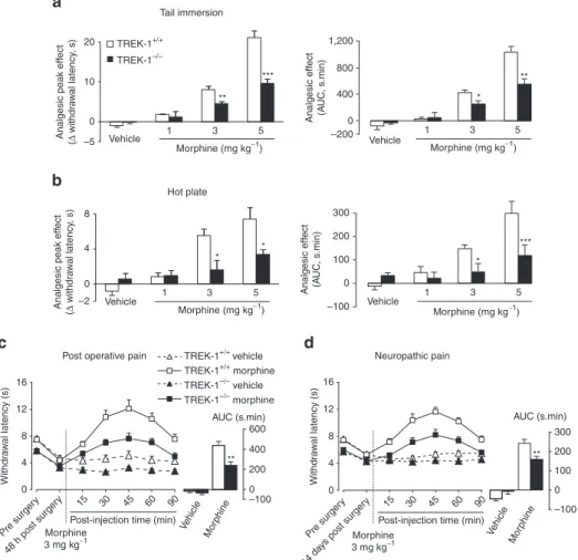 Figure 1 | Involvement of the TREK-1 channel in morphine-induced analgesia. (a,b) Antinociceptive effect of systemic administration of morphine in healthy wild-type and TREK-1  / mice littermates assessed by the tail immersion test (46 °C) (a) or the hot-p