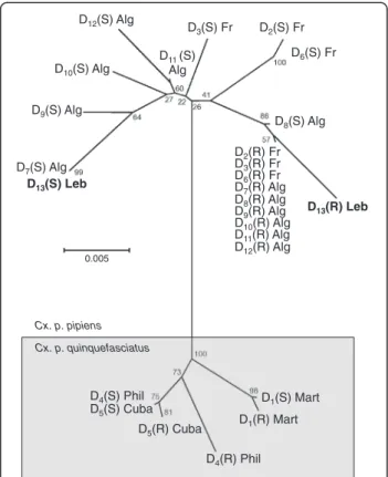 Figure 2 Genetic distance tree of ace-1 sequences from C.