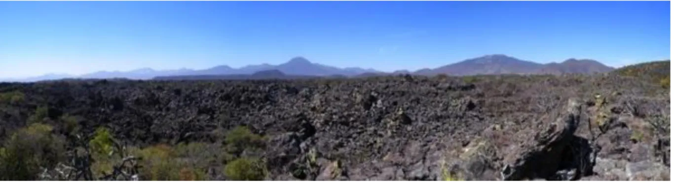 Figure 3. Vue du plateau du Malpaïs et son substrat de roches volcanique irrégulières