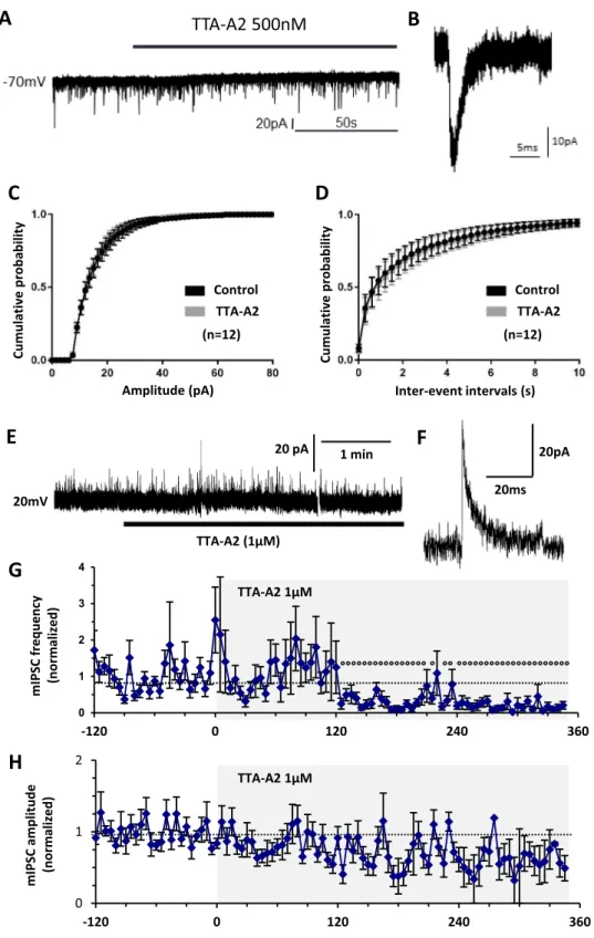 Figure 3.  Effects of T-type calcium channel inhibitors on neurotransmission of LII neurons in the spinal cord  of adult mice