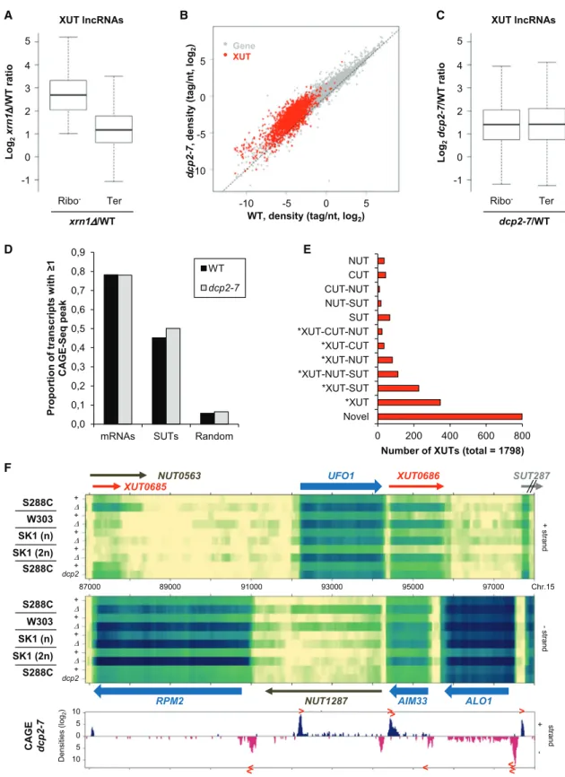 Figure 2. Comprehensive XUT Landscape in S. cerevisiae