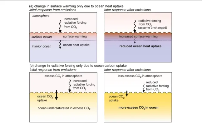 Figure 5. Schematic view of how the ocean affects the surface warming response to carbon emissions in time: ( a ) the dependence of surface warming on radiative forcing, D T / D R, increases as ocean heat uptake declines; ( b ) the dependence of radiative 