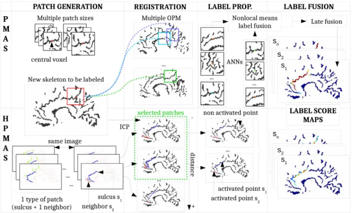Fig. 8. Comparison  of MAS approaches: PMAS vs. HPMAS. First of  all, the patches are designed