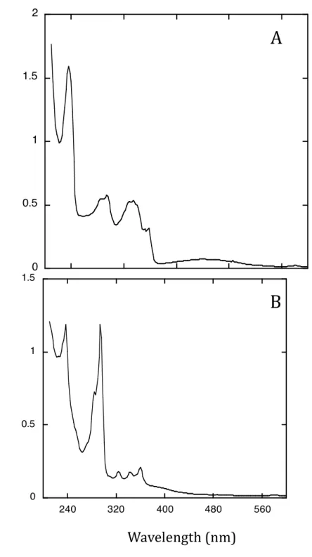 Figure S1 : Absorbance spectra of two main oxidation products of fluoranthene 