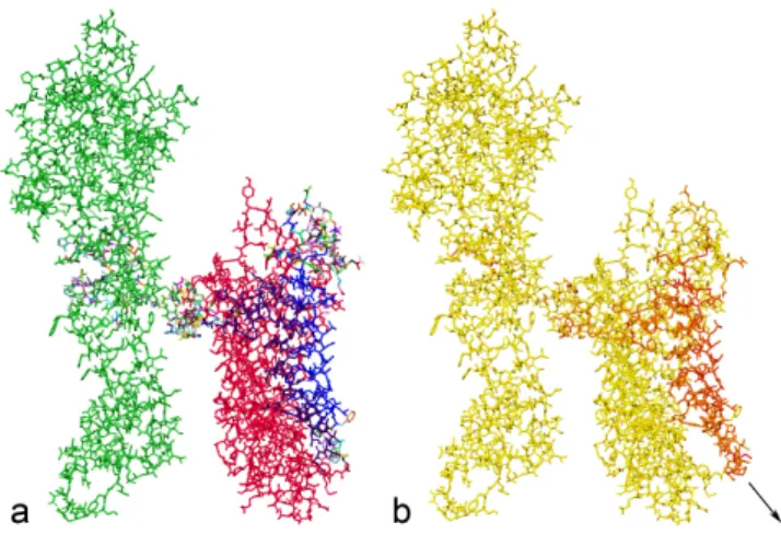 Fig. 6. Modeling signal transduction. a: the initial configuration of RC1.
