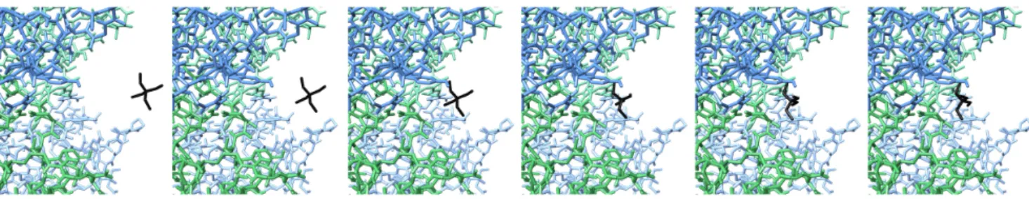 Fig. 7. TEA blocking the potassium channel. Even though the initial position of TEA is relatively far away of the entrance of the potassium channel (left), the adaptive quasi-statics algorithm allows to determine the final, equilibrium position in the bloc