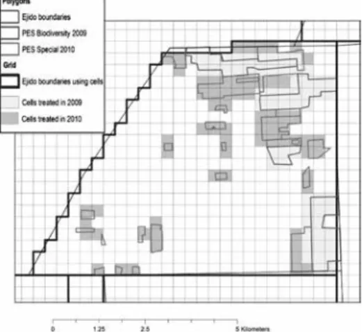 Figura IV. Ejemplo de estructura matricial con celdas de 10 ha  para crear las unidades de control y tratadas.