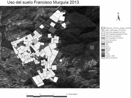 Figura V. Esquematización de los usos del suelo a escala comunitaria  con la entrevista comunitaria y a escala familiar uniendo las parcelas 