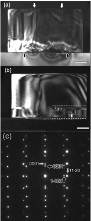 Fig.  5.  (a)  and  (b)  Cross-section  dark  field  TEM  images  of  500  nm  GaN  hexagonal  nanostructures  with  &lt;0  0  0  2&gt;  and  &lt;10 1 0&gt;  g-vectors,  respectively