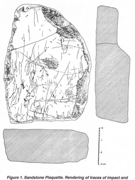 Figure  1.  Sandstone  Plaquette.  Rendering  of  traces  of impact and scraping  visible  on  the upper  surtace