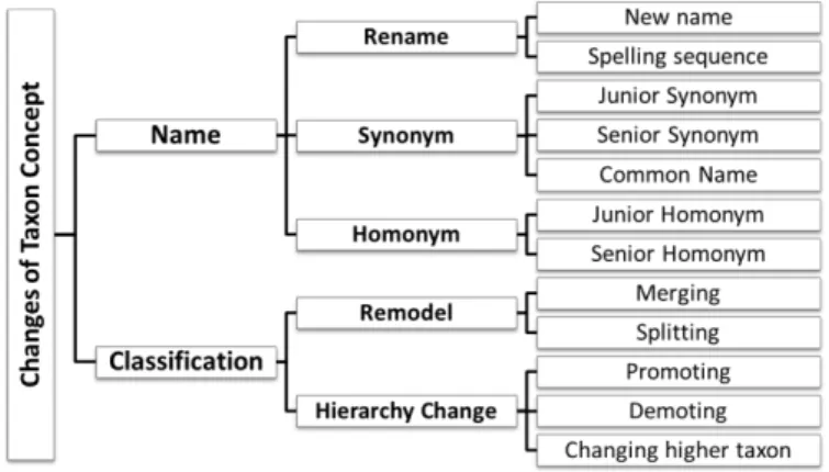 Fig. 1. The analysis of the changes of taxon concept 
