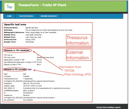 Fig. 2. Trait restitution information interface. Information from both trait thesaurus and external sources is displayed