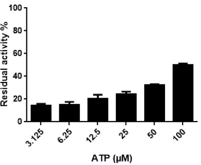 Fig. 3.  Human GSK-3 inhibition by compound 13c at different ATP concentrations. GSK-3 kinase activities in the  presence  of  500  nM  of  13c  were  measured  by  ADP-Glo  luminescent  assay  using  the  mentioned  ATP  concentrations  (from  3.125  to