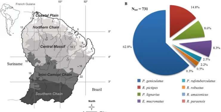 Fig 1. French Guiana and the biodiversity of its triatomine community. (A) French Guiana is partitioned into five geomorphologic landscapes: the Coastal Plain (CP), the Northern Chain (NC), the Central Massif (CM), the Inini-Camopi chain (IC), and the Sout