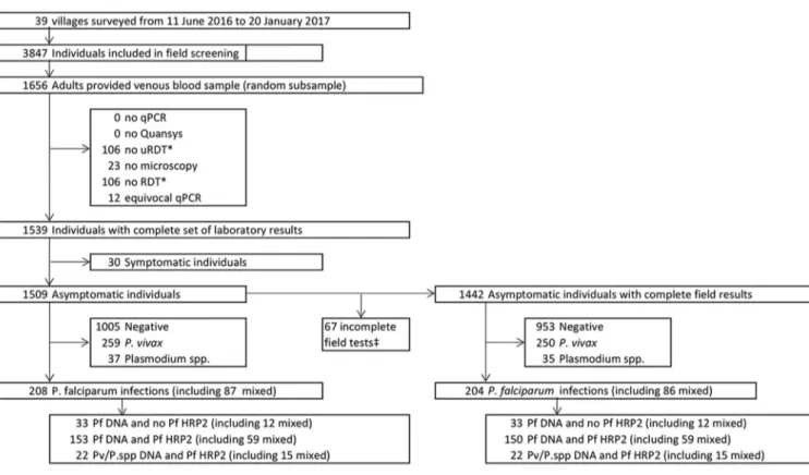 FIG 1 Flowchart of study participants and results. Species results obtained by the combination of Plasmodium DNA detection by uPCR and Plasmodium antigens by Quansys ELISA (reference C) are displayed.