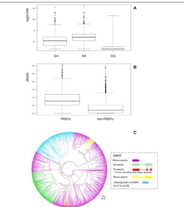 Fig. 8 Expression profiles, evolutionary rates, and phylogenetic study of predicted effector genes (PREFs)