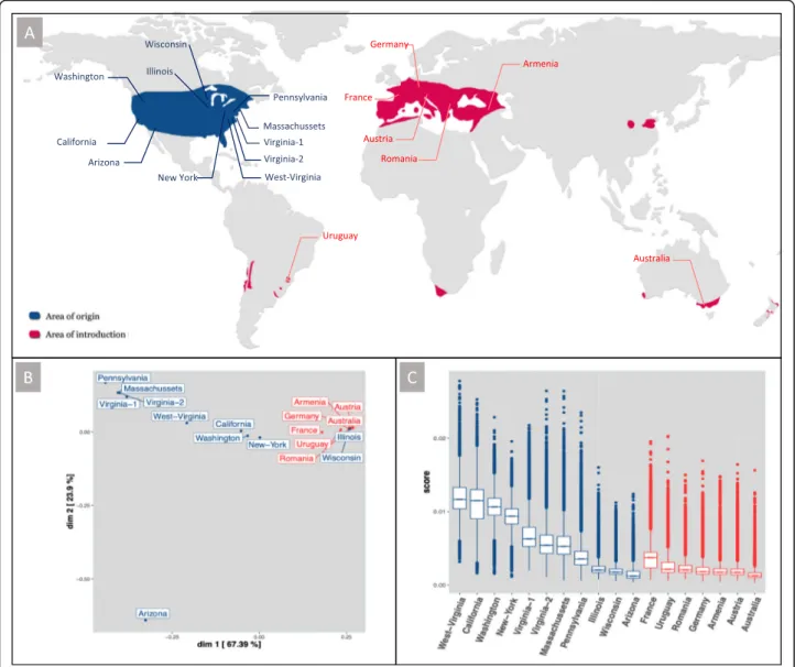 Fig. 9 Population genomics comparison of phylloxera populations sampled in the native and invaded range