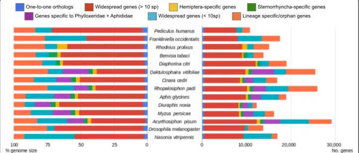 Fig. 2 Comparative gene content across insects, with emphasis on Hemiptera. Total number of genes (right) or percentage of genome (left) are indicated
