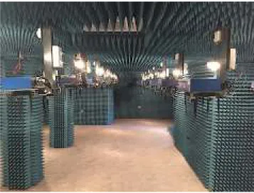 Fig. 2. R2lab Located in an Anechoic Chamber