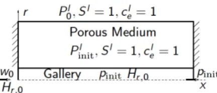 Fig. 1 (x,r) cut of the storage and initial and boundary conditions of the test case.